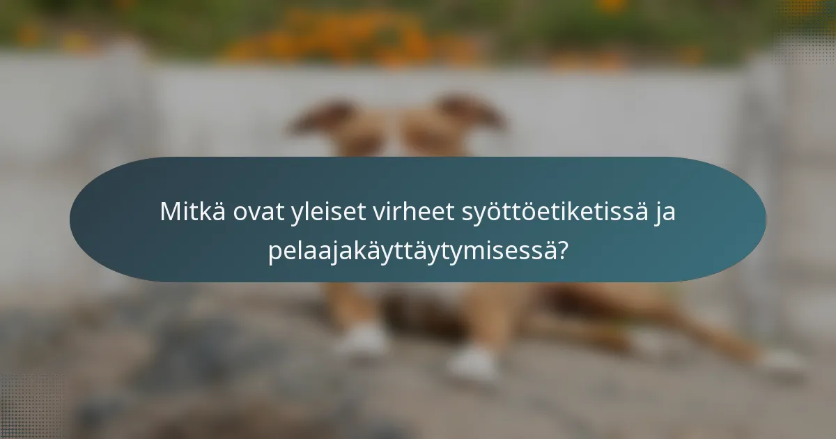Mitkä ovat yleiset virheet syöttöetiketissä ja pelaajakäyttäytymisessä?